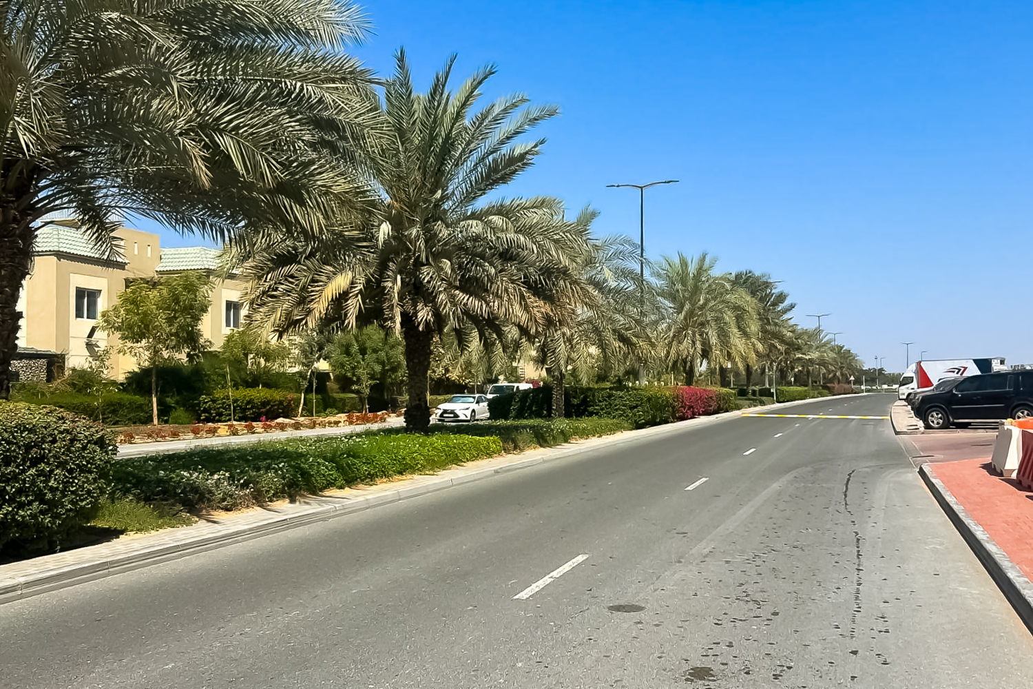 1 Bedroom Apartment in Rapunzel