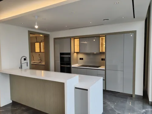 4 Bedrooms Apartment in The S Tower