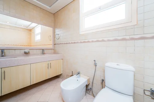 3 Bedrooms Villa in Wadi Al Safa 2