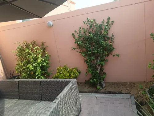 3 Bedrooms Villa in Umm Suqeim 3 Villas