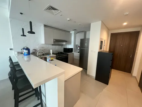 1 Bedroom Apartment in 1 Residences