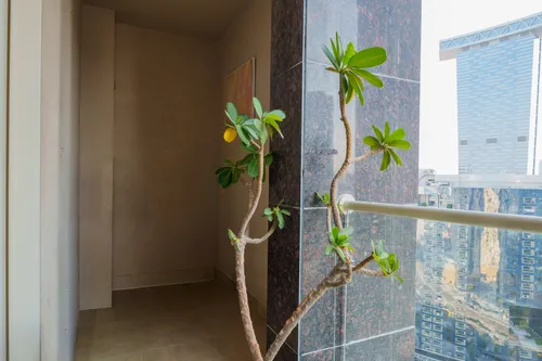 1 Bedroom Apartment in Mangrove Place