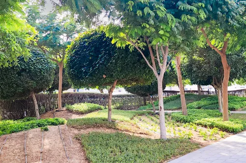 3 Bedrooms Townhouse in Nasma Residences