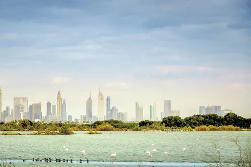 3 Bedrooms Apartment in Sobha Creek Vistas Tower B