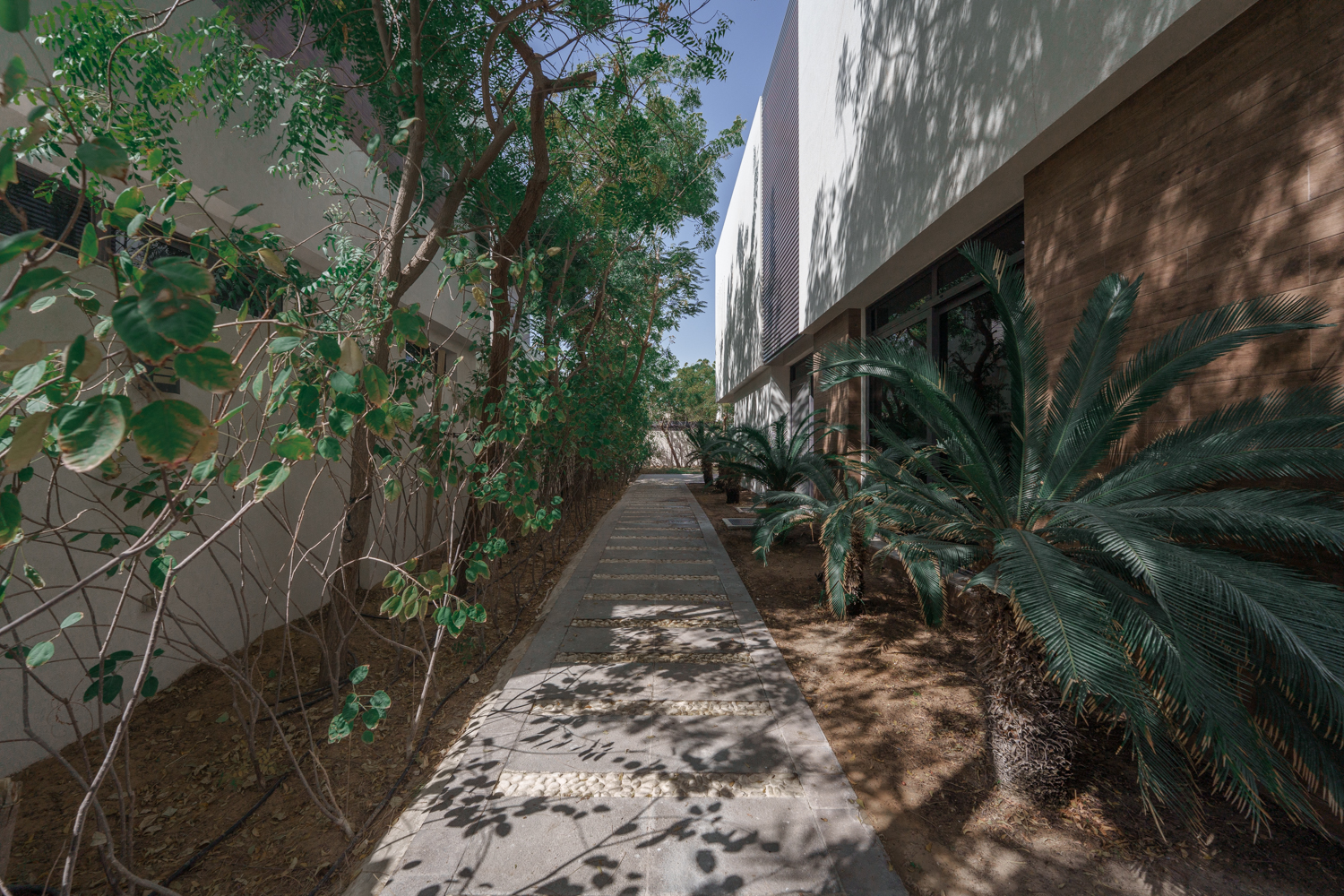 5 Bedrooms Villa in West Yas