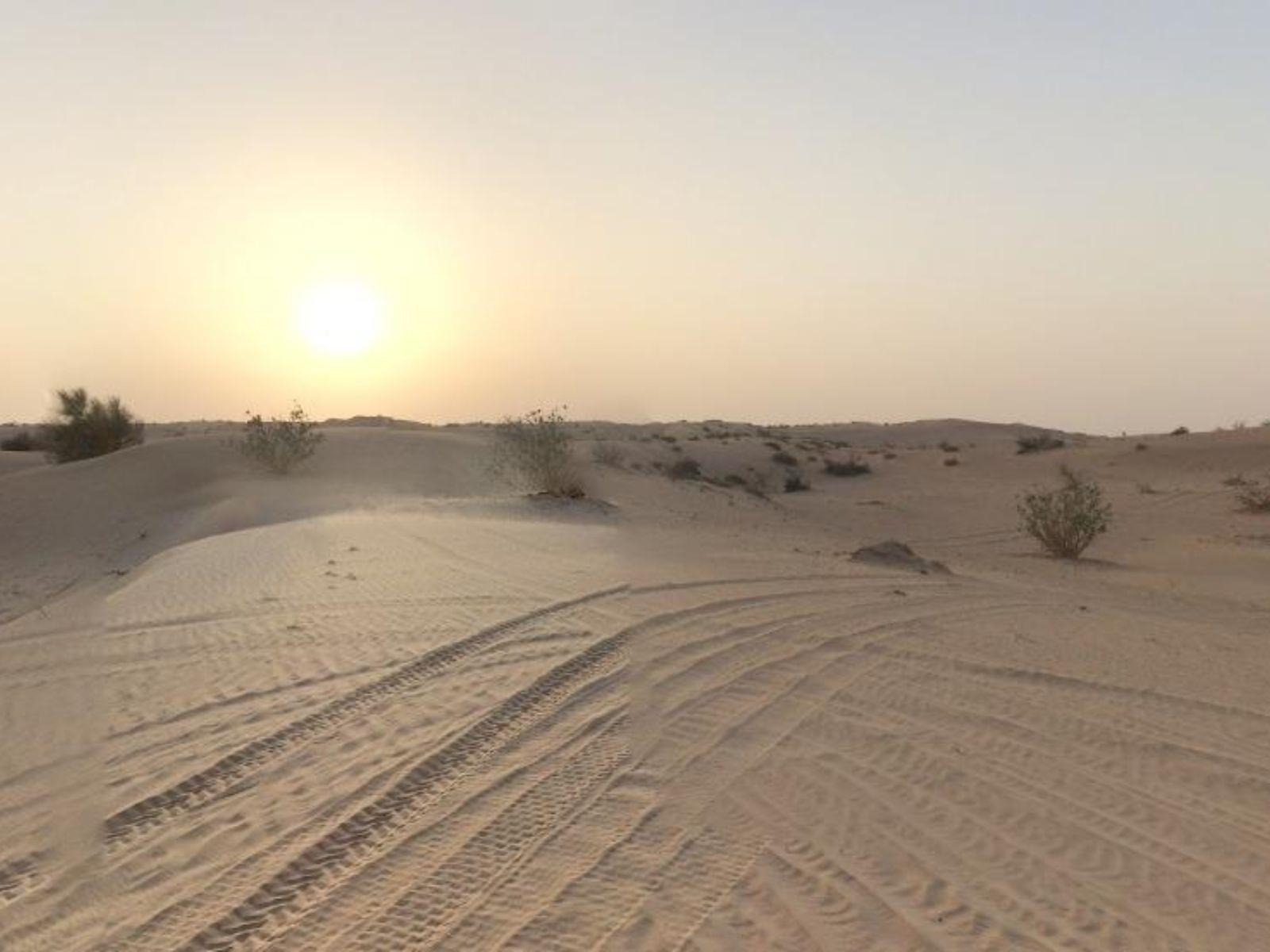 Prime Plot in Al Belidah – No Commission