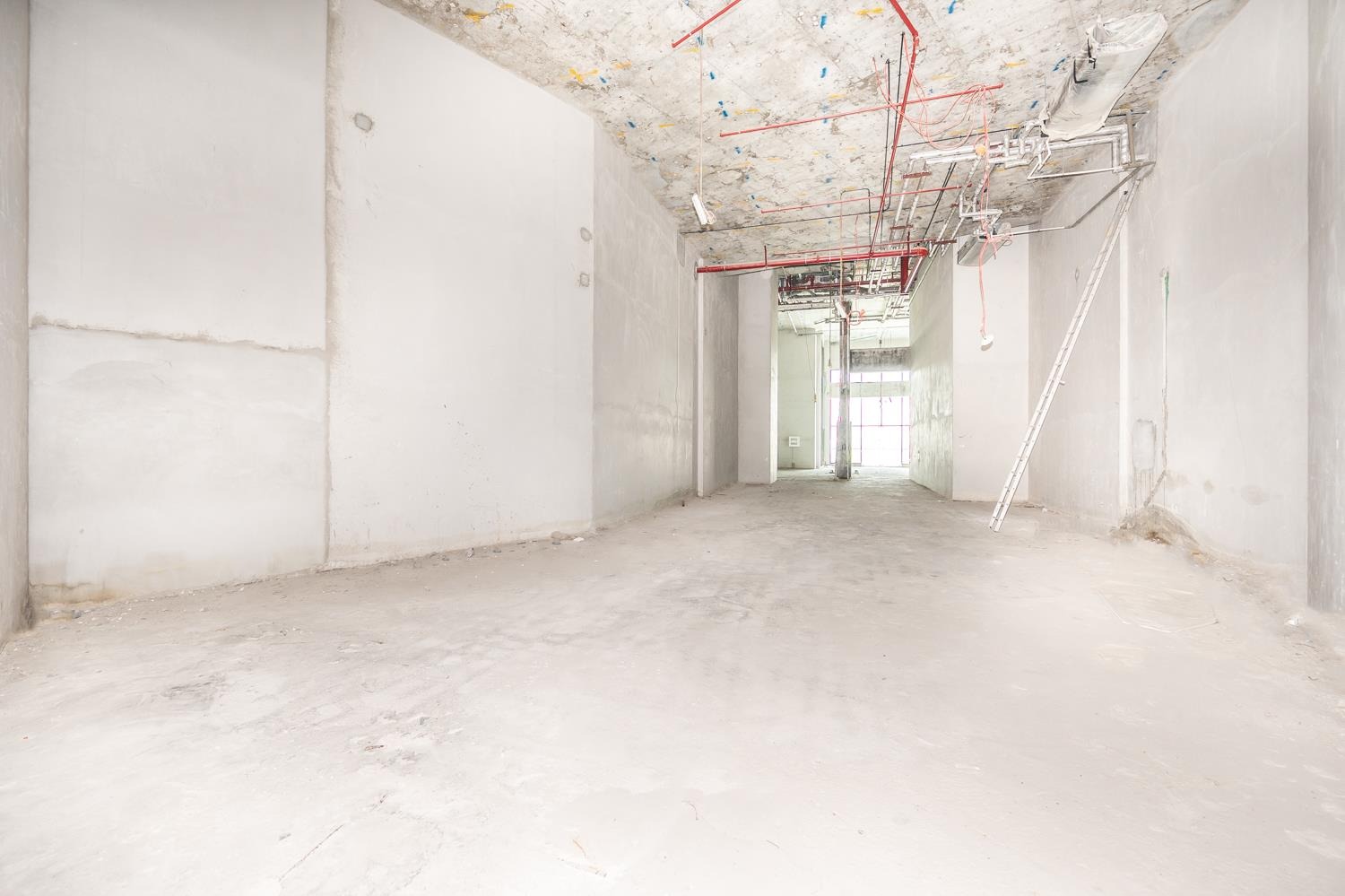 Retail- Freehold | Shell and Core | LLC License