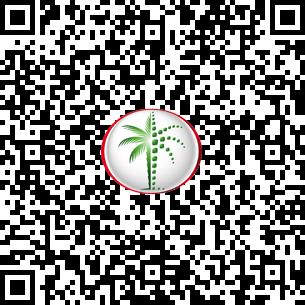 3 Bedrooms Apartment in Murjan 6 DLD Verified