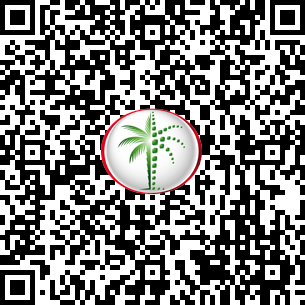 1 Bedroom Apartment in Ocean Heights DLD Verified