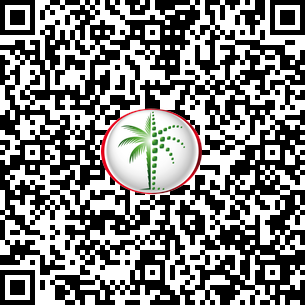 1 Bedroom Apartment in Ocean Heights DLD Verified