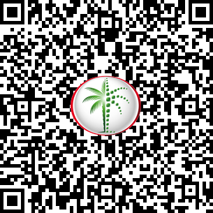 1 Bedroom Apartment in The Fairmont Palm Residence South DLD Verified