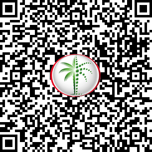 4 Bedrooms Apartment in Murjan 5 DLD Verified