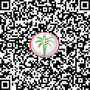 3 Bedrooms Apartment in Murjan 1 DLD Verified