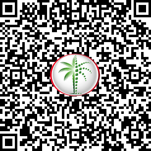 1 Bedroom Apartment in The Grand DLD Verified