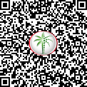 1 Bedroom Apartment in Creek Edge Tower 1 DLD Verified