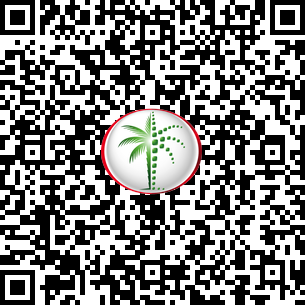 1 Bedroom Apartment in 1 Residences - 1 DLD Verified