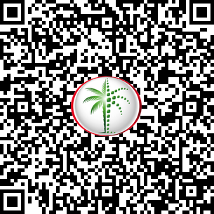  Apartment in Burj Al Nujoom DLD Verified