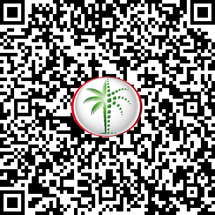 Apartment in Burj Al Nujoom DLD Verified