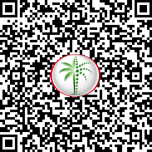 2 Bedrooms Apartment in Ellington Ocean House DLD Verified