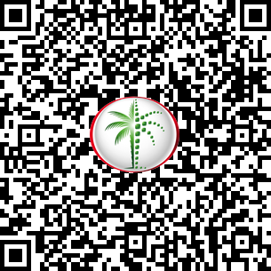 1 Bedroom Apartment in Northwest Apartments 1 DLD Verified