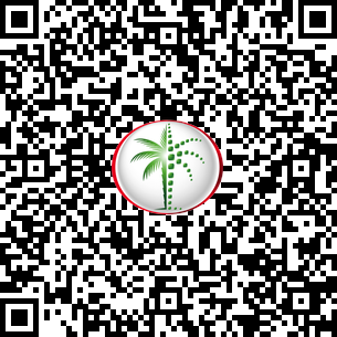 1 Bedroom Apartment in Building 11A DLD Verified