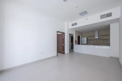 1 Bedroom Apartment in Vezul Residence