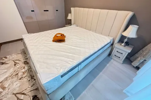 1 Bedroom Apartment in Urban Oasis