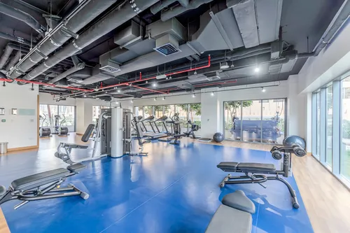 1 Bedroom Apartment in Bellevue Tower 1