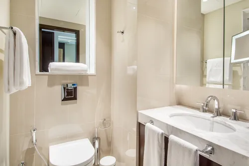 2 Bedrooms Apartment in The Address Residence Fountain Views 1
