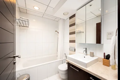 1 Bedroom Apartment in Boulevard Central Tower 2