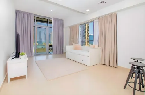 1 Bedroom Apartment in Bellevue Tower 2