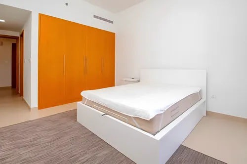 1 Bedroom Apartment in Bellevue Tower 2
