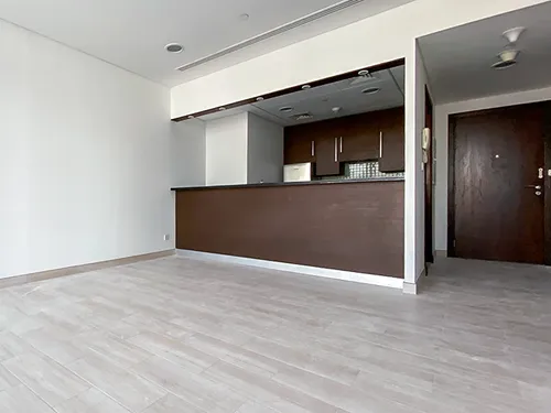 1 Bedroom Apartment in Burj Daman