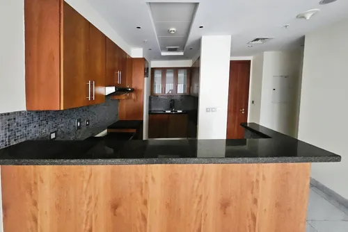 1 Bedroom Apartment in Central Park Residential Tower