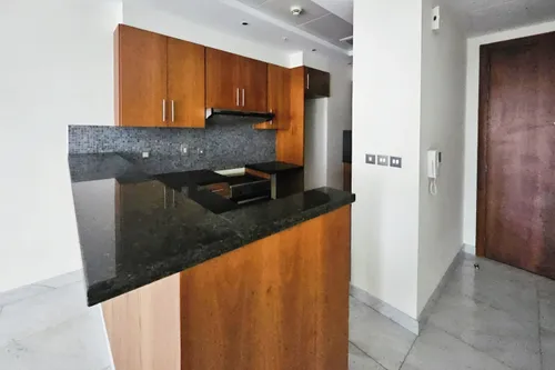 1 Bedroom Apartment in Central Park Residential Tower