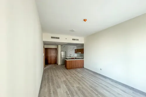 1 Bedroom Apartment in Sulafa Tower