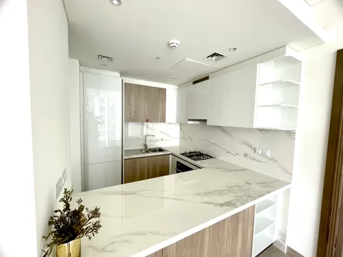 2 Bedrooms Apartment in One Park Avenue