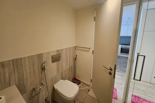 1 Bedroom Apartment in D1 Tower