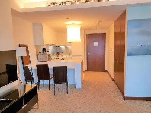  Apartment in The Address Dubai Mall