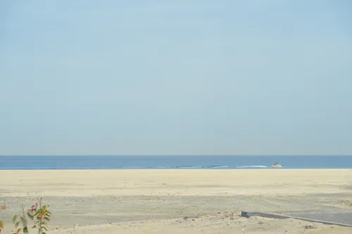   in La Mer South Island