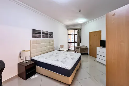 1 Bedroom Apartment in Lincoln Park A