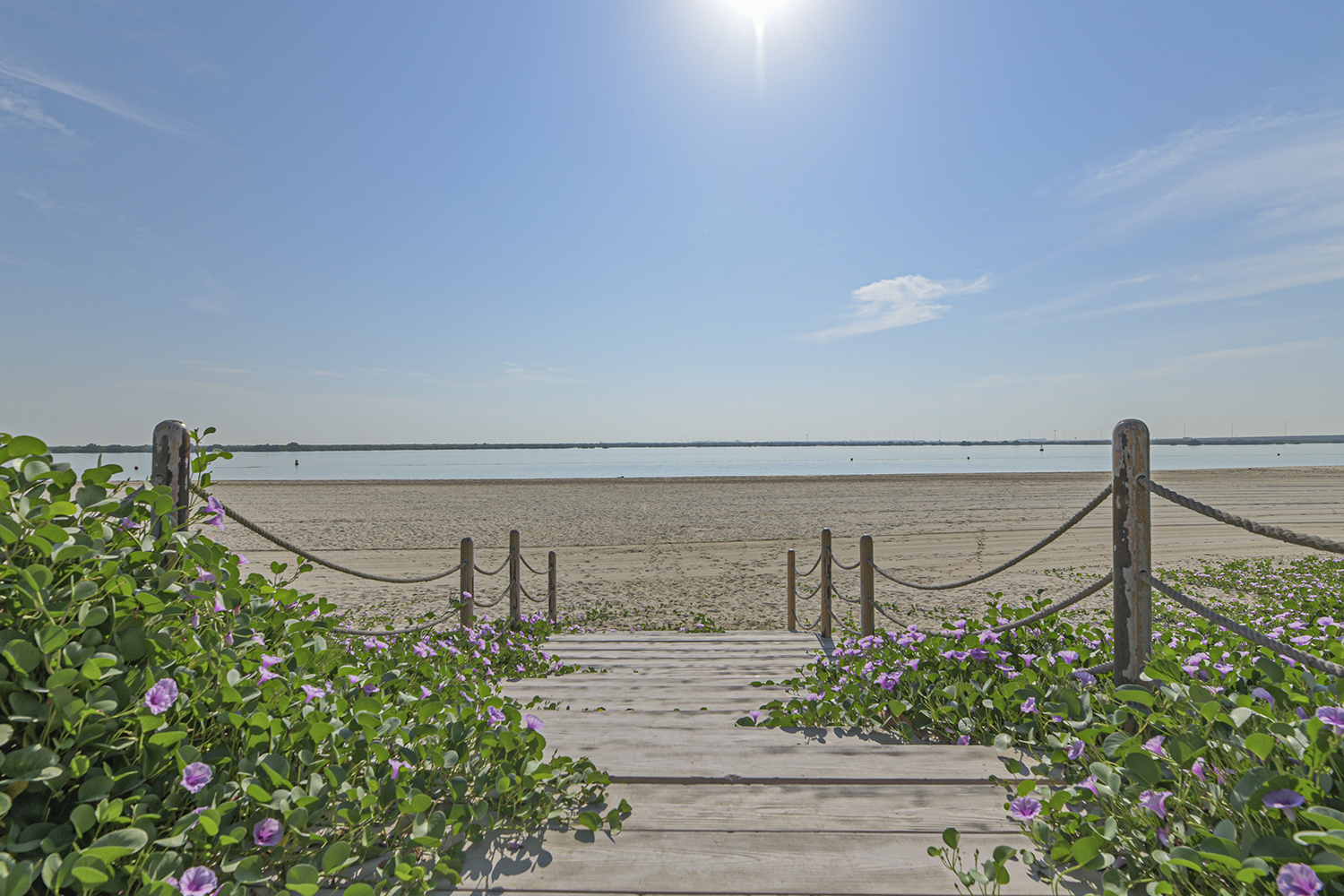 5 Bedrooms Villa in HIDD Al Saadiyat