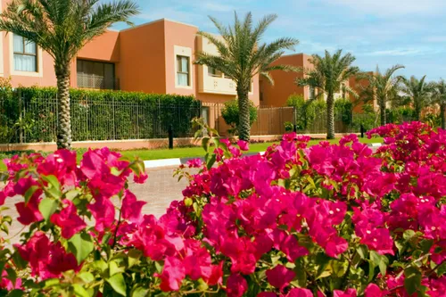 4 Bedrooms Townhouse in Mangrove Village