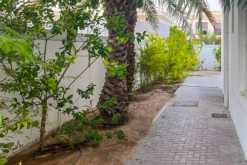 5 Bedrooms Villa in Jumeirah 3 Villas