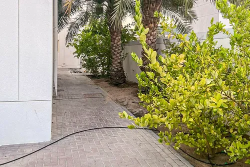 5 Bedrooms Villa in Jumeirah 3 Villas
