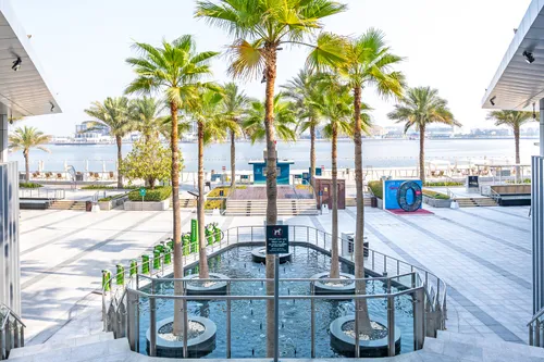 1 Bedroom Apartment in Al Maha