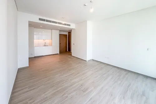 1 Bedroom Apartment in Address Residences Dubai Creek Harbour