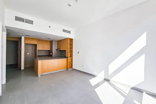 1 Bedroom Apartment in Souks Residential
